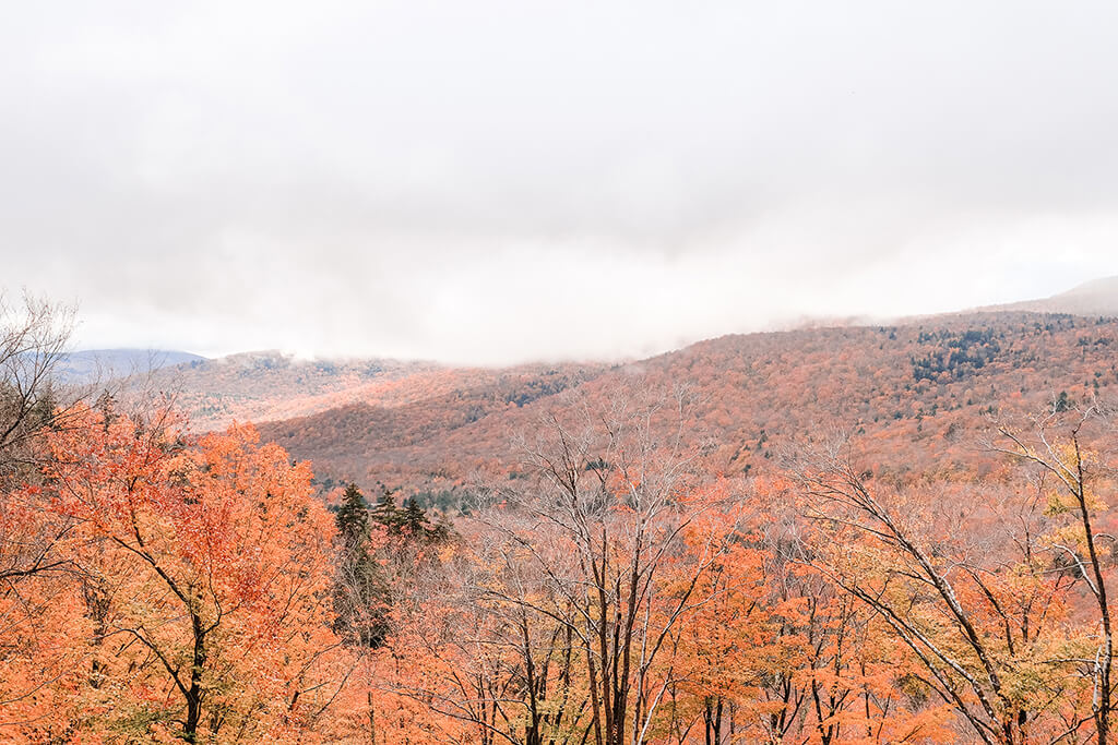 Beautiful fall foliage under cloudy skies in the White Mountains, New Hampshire