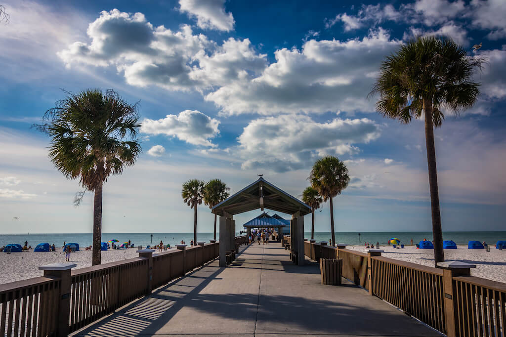 Palm trees and the fishing pier in Clearwater Beach, Florida.