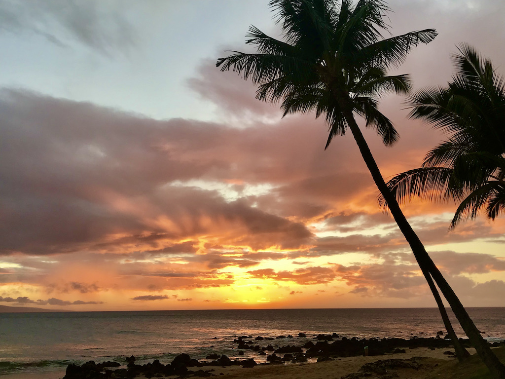 deep orange sunset and palm trees on Maui