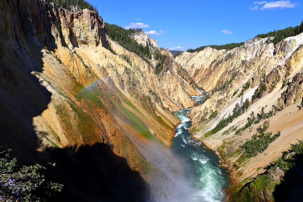 View of Lower Falls at Grand Canyon of Yellowstone, one of the best yellowstone hikes!
