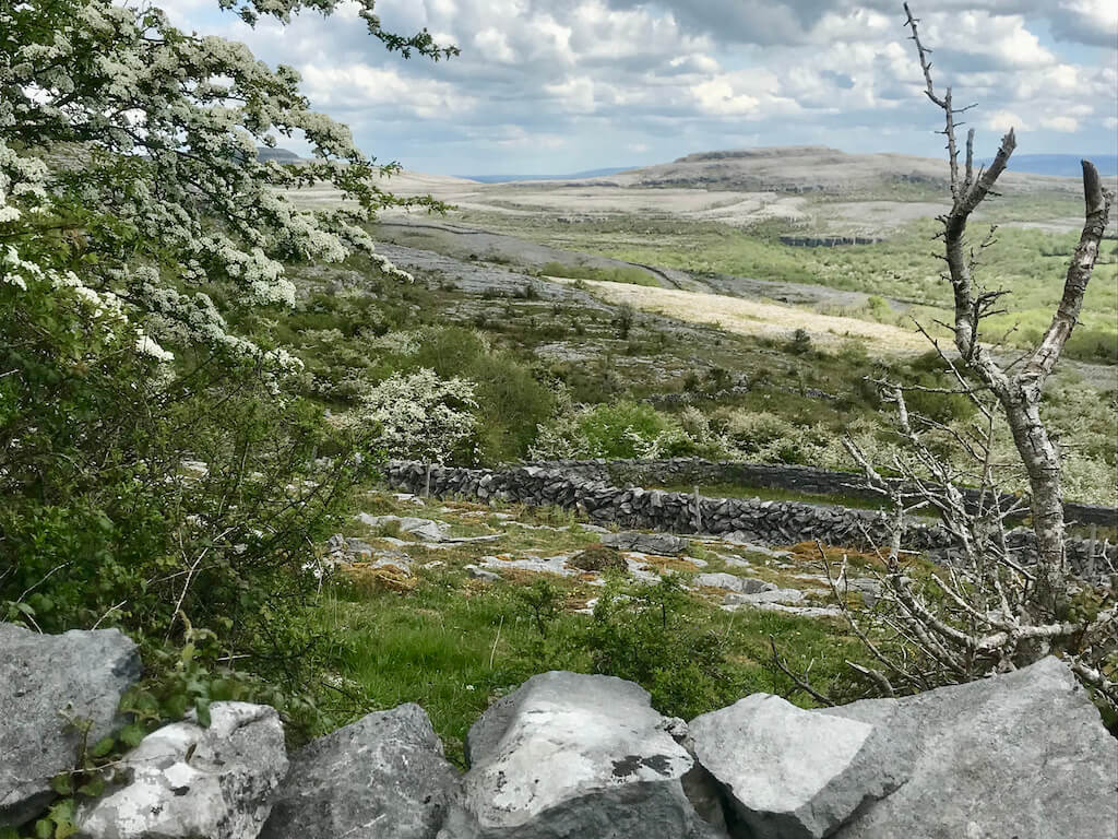 the beautiful but desolate landscape of The Burren