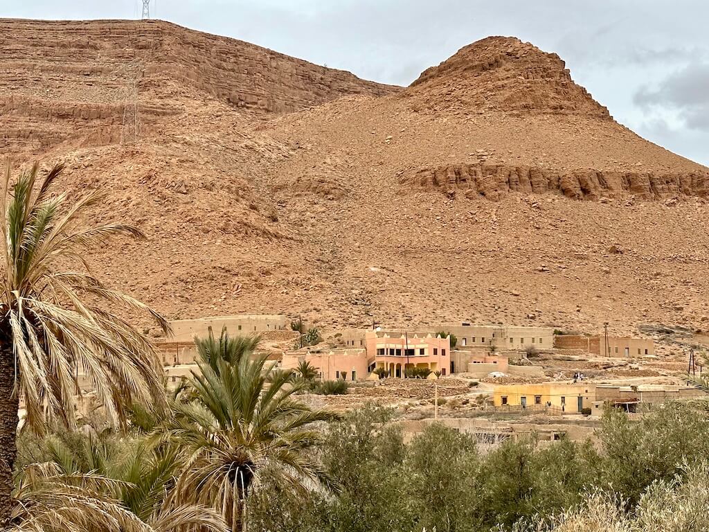 homes and palm trees in ziz valley