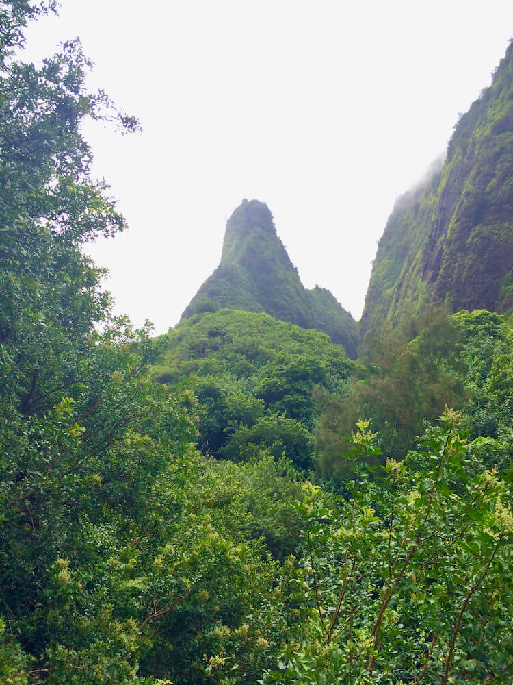 Iao needle in Iao valley state Park on Maui