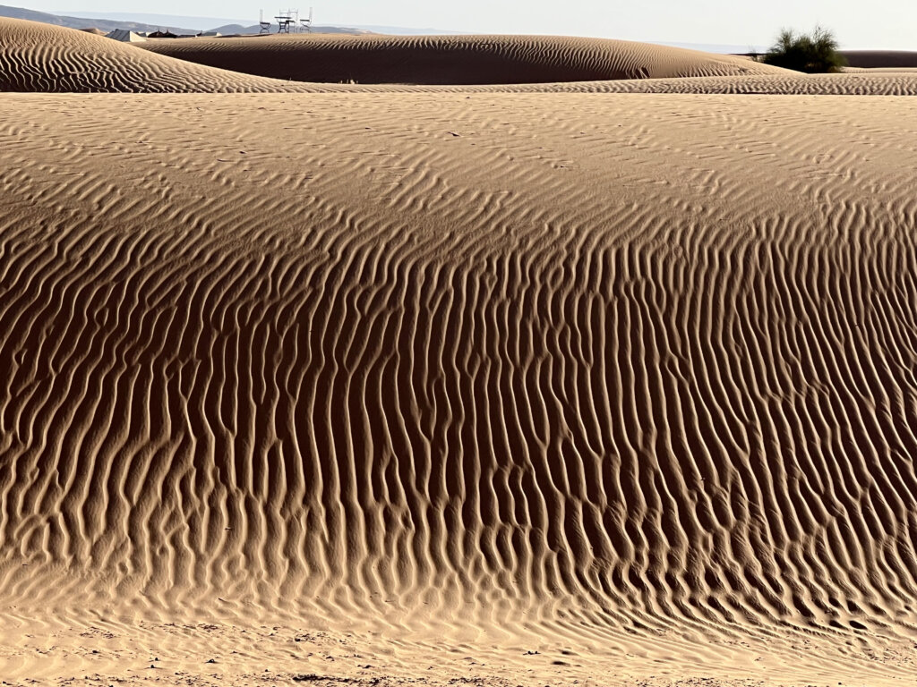 undulating waves of sand in Sahara