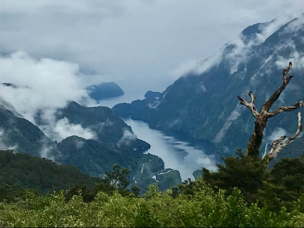View into Doubtful Sound from Wilmot Pass Summit on bus ride to our overnight cruise