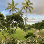 the golden hour with plumeria and clouds in Ko Olina, Oahu