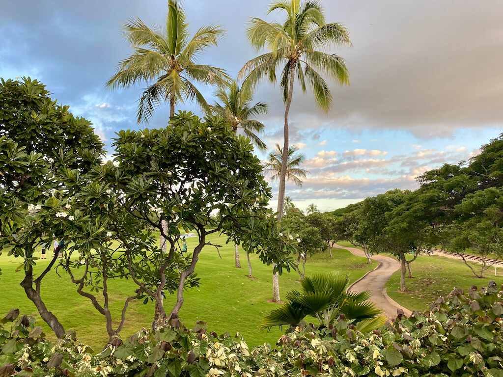 the golden hour with plumeria and clouds in Ko Olina, Oahu