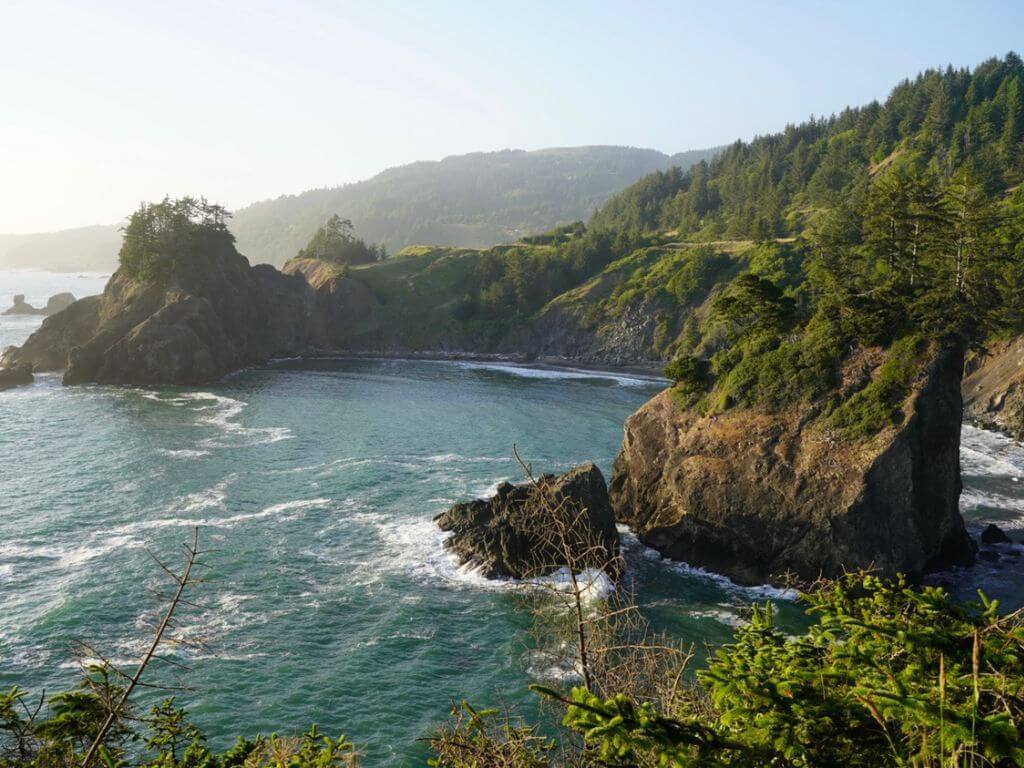 Oregon coast in August with pine trees and wild, rocky coast