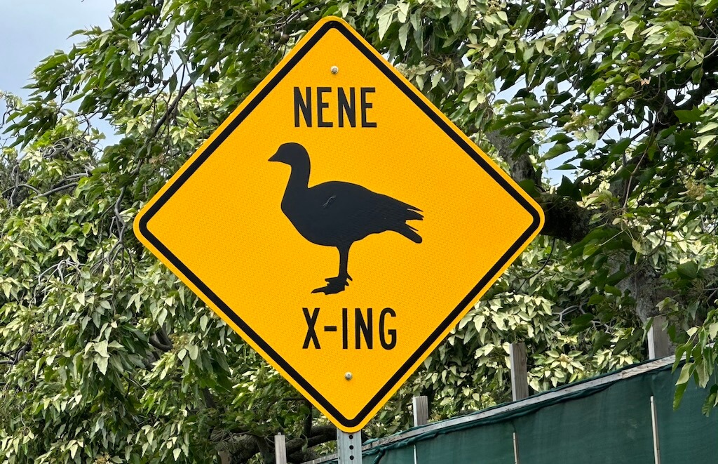 Ne ne crossing road sign