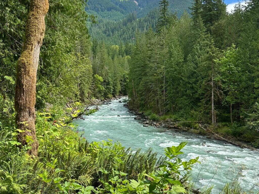 the mighty Nooksack River on the Mt Baker Scenic Highway