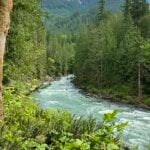 the mighty Nooksack River on the Mt Baker Scenic Highway