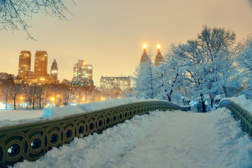 a snowy path to central park with the city's skyline glowing in the background