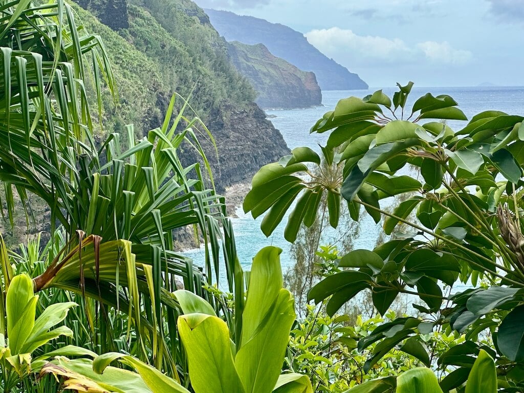 Foliage and coastal views from Kalalau Trail